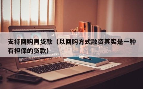 支持回购再贷款（以回购方式融资其实是一种有担保的贷款）