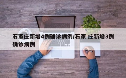 石家庄新增4例确诊病例/石家 庄新增3例确诊病例