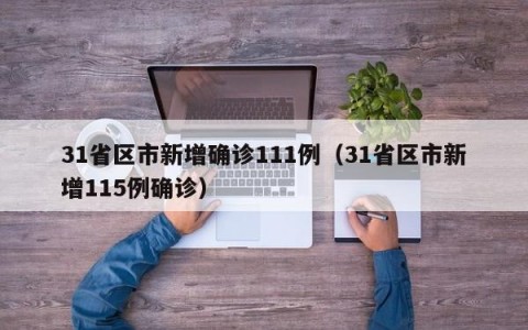 31省区市新增确诊111例（31省区市新增115例确诊）