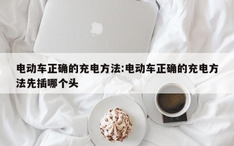 电动车正确的充电方法:电动车正确的充电方法先插哪个头