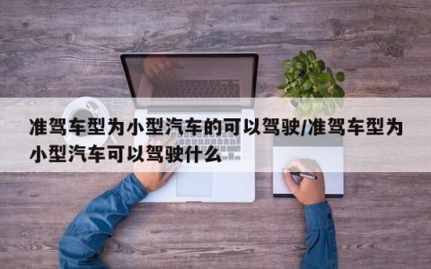 准驾车型为小型汽车的可以驾驶/准驾车型为小型汽车可以驾驶什么