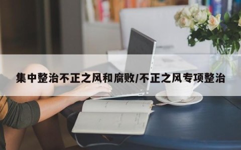 集中整治不正之风和腐败/不正之风专项整治