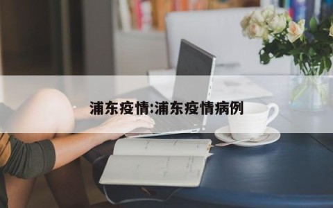 浦东疫情:浦东疫情病例