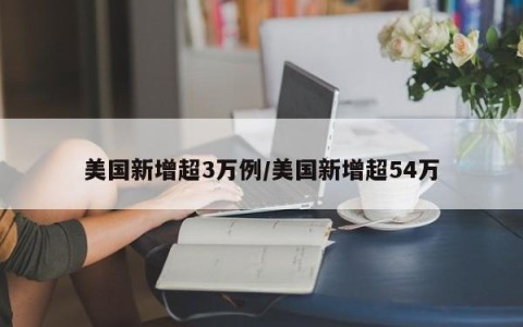 美国新增超3万例/美国新增超54万